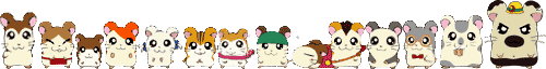 1667442574604487.gif